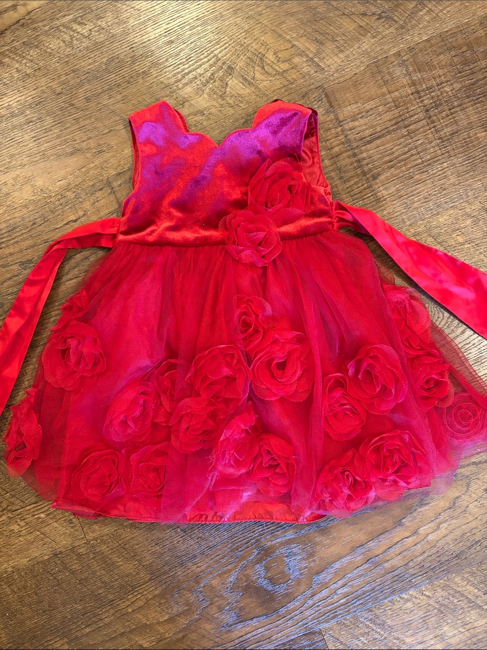 Red Rose Appliqué Party Dress for Girls